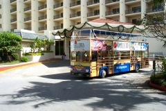 Guam trolleys, similar to London trolleys, with regular scheduled routes between major hotels and shopping areas are a convenient form of transportation for Guam visitors.
